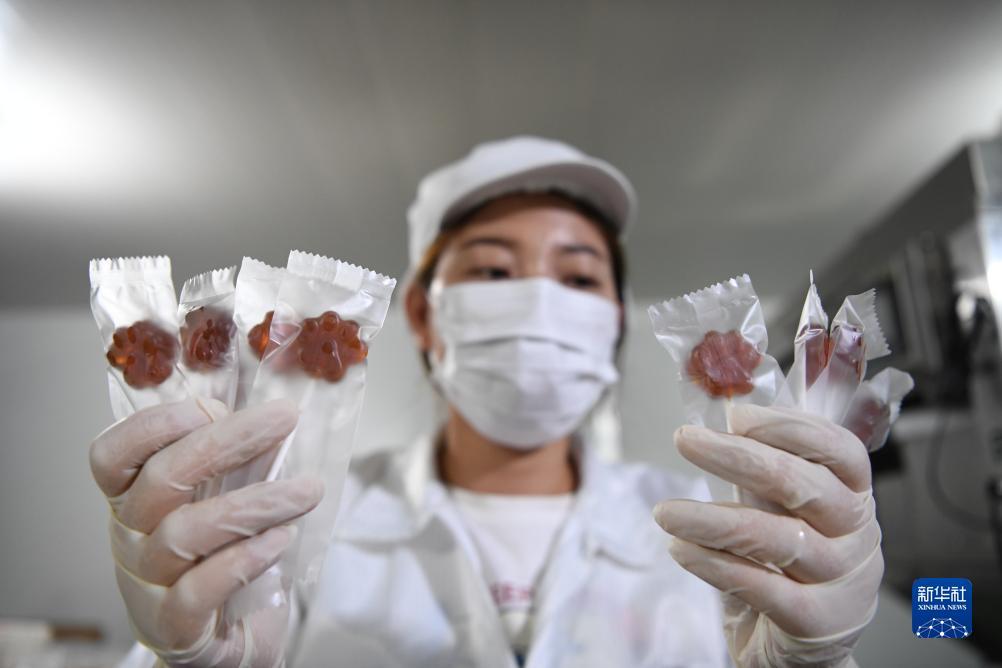 奥门新浦金沙连环赌博